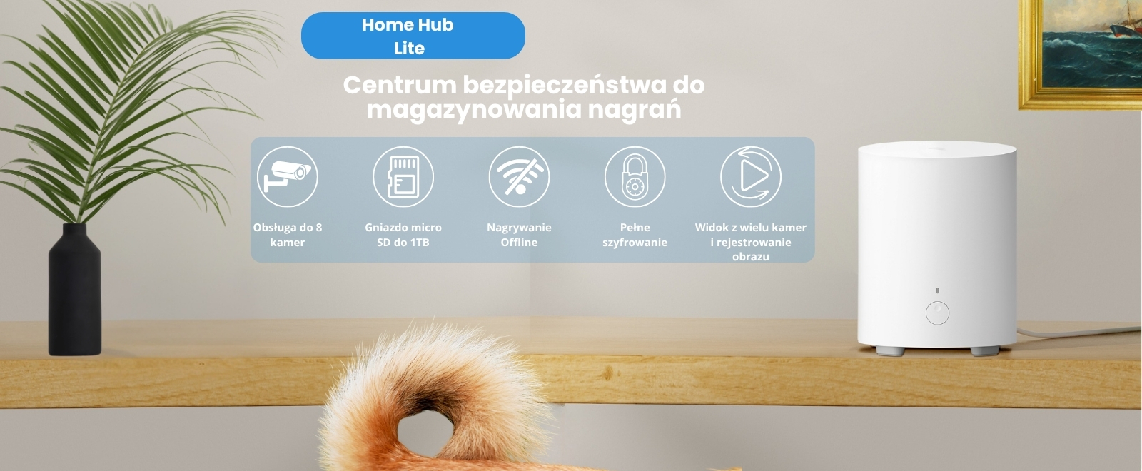 Home Hub Lite