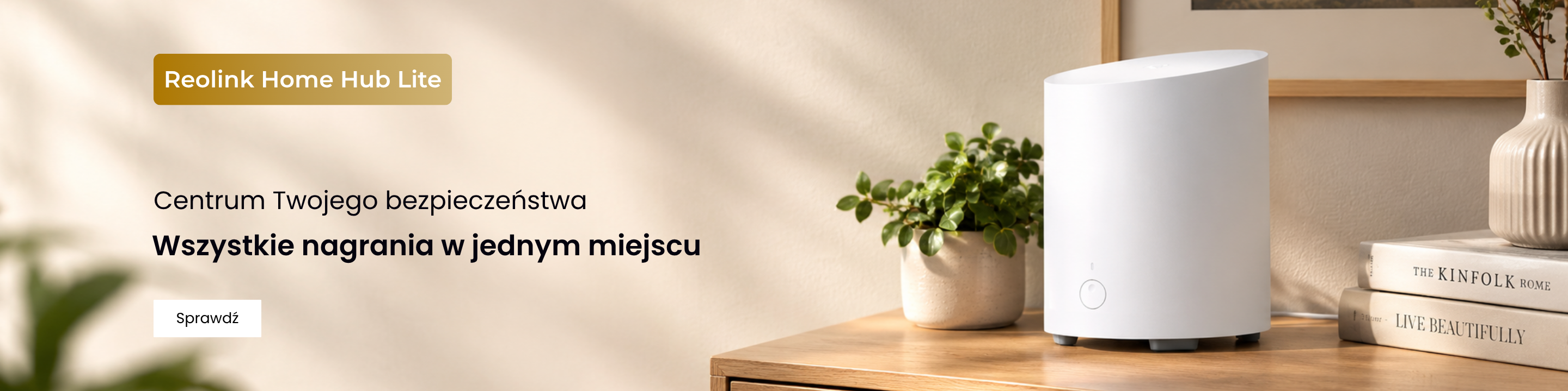 Reolink Home Hub Lite